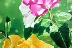 fleurs2