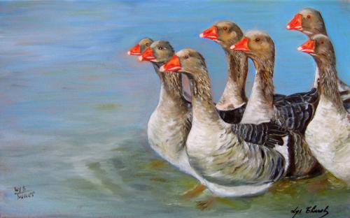 Lys Thurot