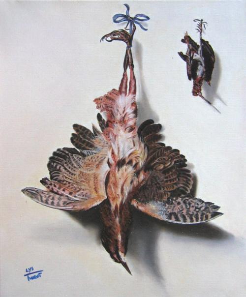 Lys Thurot