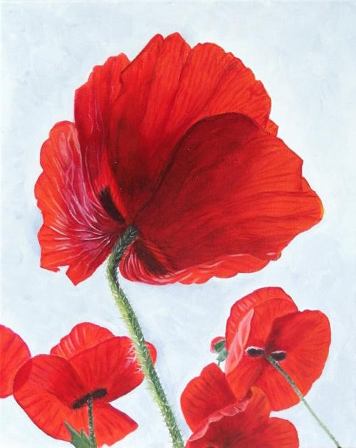 N. Marcadal
